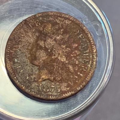 Indian Head Pennies Lot