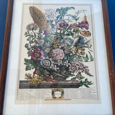 Robert Furber flower art