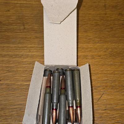 8mm Mauser Ammo #2