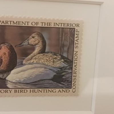 Federal Duck Stamp Print 1993 Bruce Miller "Canvasbacks"