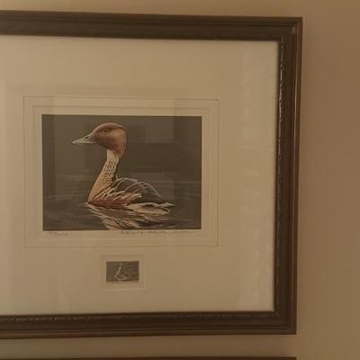 Federal Duck Stamp Print 1986 Burton Moore " Fulvous Duck"