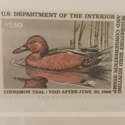 Federal Duct Stamp Print 1986 Gerald Mobley " Cinnamon Teal"