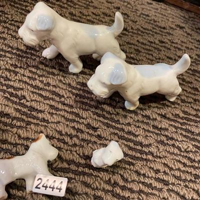 Puppies