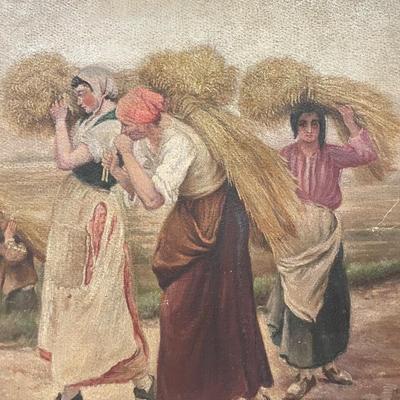 Harvest picture