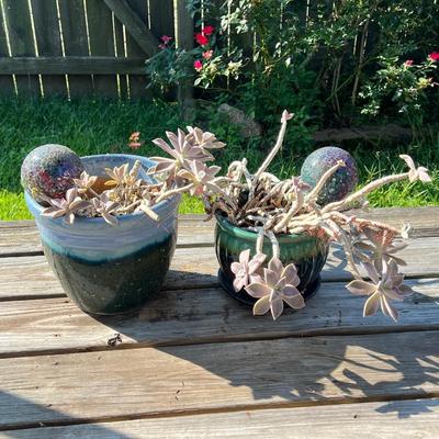 Pair (2) Glazed Terracotta Planters With Succulent Plants