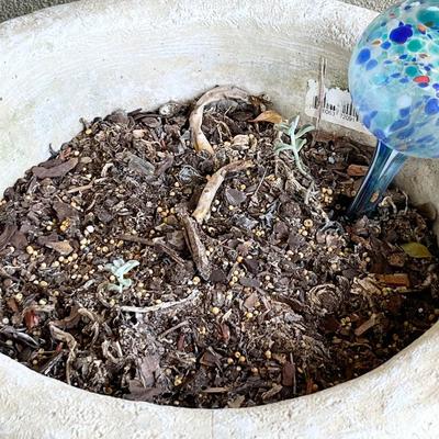 Pair (2) ~ Cement Seashore Planters With Glass Watering Balls