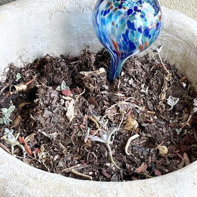 Pair (2) ~ Cement Seashore Planters With Glass Watering Balls
