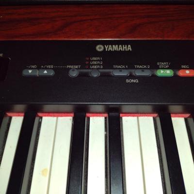 Yamaha Electronic Piano Model P-120 with Bench