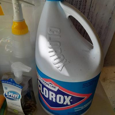 Cleaning items - Full Bleach - trash bags - magic eraser like sponges - microfiber cloths - and more