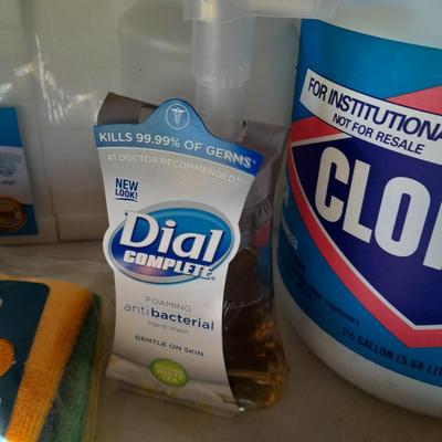 Cleaning items - Full Bleach - trash bags - magic eraser like sponges - microfiber cloths - and more