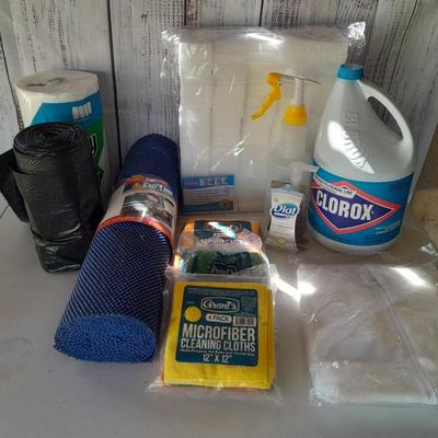 Cleaning items - Full Bleach - trash bags - magic eraser like sponges - microfiber cloths - and more