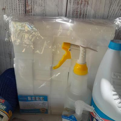 Cleaning items - Full Bleach - trash bags - magic eraser like sponges - microfiber cloths - and more