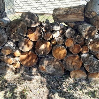 Lots of Firewood with a nice double-sided Axe to split it with and a fireplace tool set