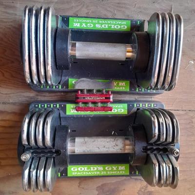 Gold's Gym Spacesaver 25 Singles Weights
