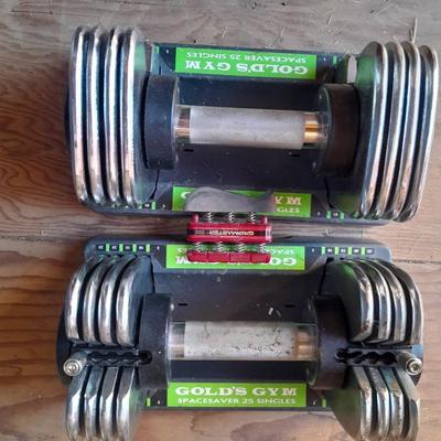 Gold's Gym Spacesaver 25 Singles Weights