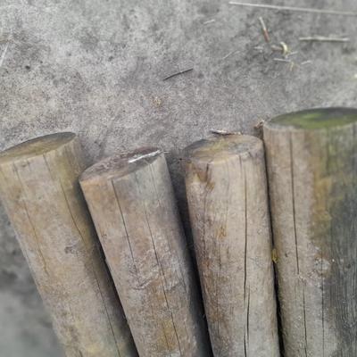 Four 8-foot fence Posts
