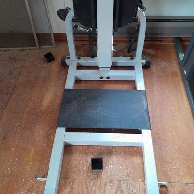 Bow flex Motivator