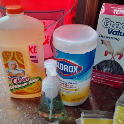 Home Depot bucket full of cleaning supplies - New Clorox wipes - Mr. Clean - rags and more