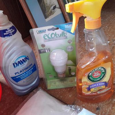 Home Depot bucket with cleaning supplies - Disposable Coveralls - Trash bags - light - Dawn and more