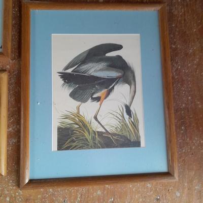 Three framed bird pictures - Two Audobon framed pictures and a smaller bird picture Artwork!