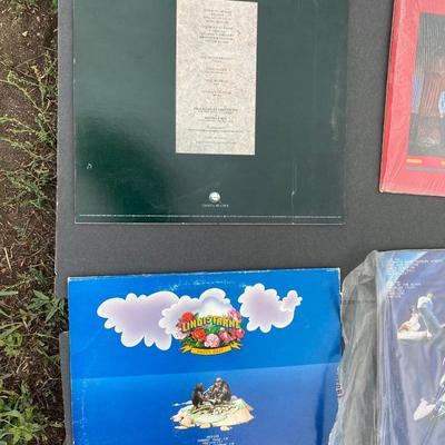 Vintage Albums on Vinyl *Molly Hatchet, Whitesnake,, Journey, & Lindisfarne