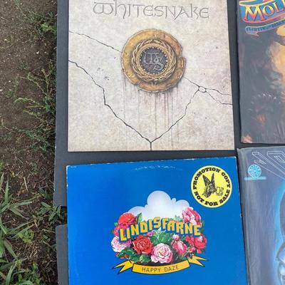 Vintage Albums on Vinyl *Molly Hatchet, Whitesnake,, Journey, & Lindisfarne