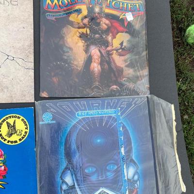 Vintage Albums on Vinyl *Molly Hatchet, Whitesnake,, Journey, & Lindisfarne