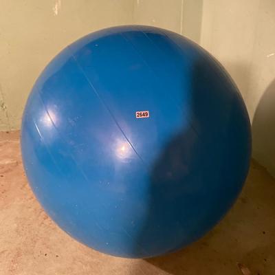 Gymnic exercise ball