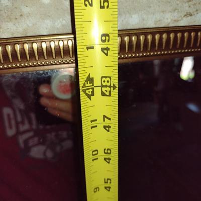 Framed Wall Mirror- Approx 13 1/2" x 49 1/4"