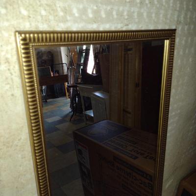 Framed Wall Mirror- Approx 13 1/2" x 49 1/4"