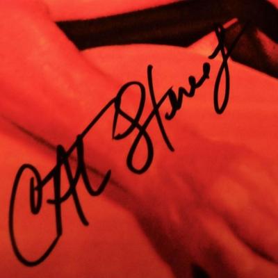 Cat Stevens signed Greatest Hits album insert poster
