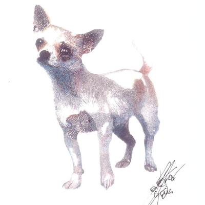 Artist John Krewal signed dog print