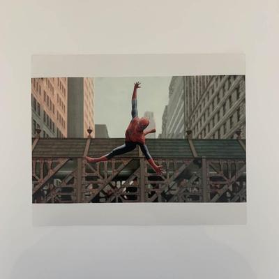 Spider-Man 8x10 photo unsigned