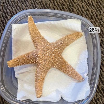Starfish