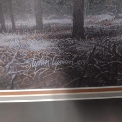 Framed Art Print by Stephan Lyman