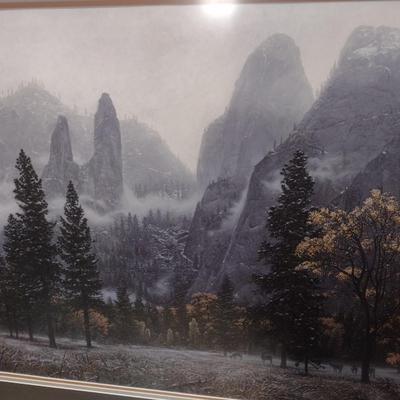 Framed Art Print by Stephan Lyman