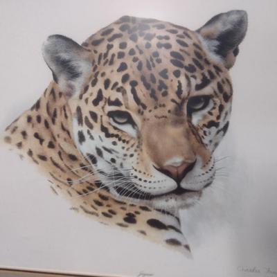 Framed Art Print by Charles Frace
