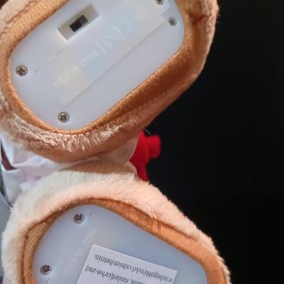 ELVIS BEAR AND PAMPHLET