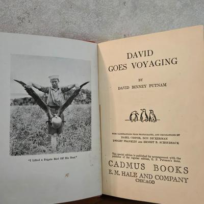 1925 'David Goes Voyaging' Book