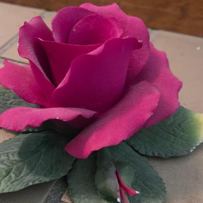 Porcelain Rose Deco