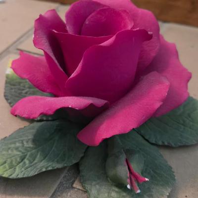 Porcelain Rose Deco