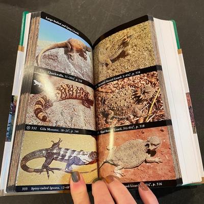 Reptile ? book