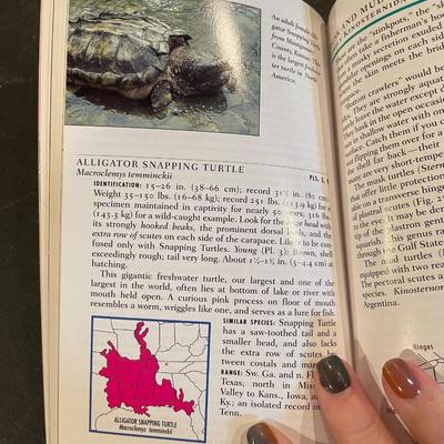 Reptile ? book