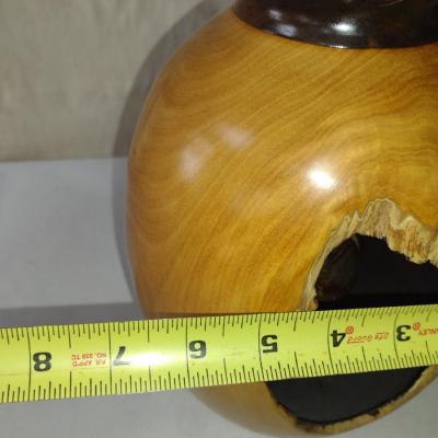Large, Hand Crafted, Turned Wood Vase by Bobby Phillips- Melaleuca and Stone Orb (#10).