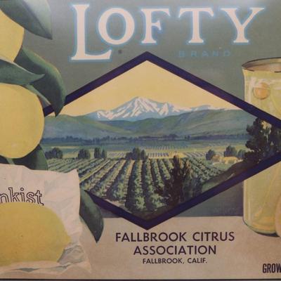 Framed Lofty Brand Fallbrook Citrus Association
