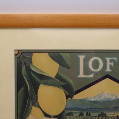 Framed Lofty Brand Fallbrook Citrus Association