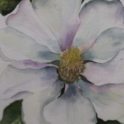 Framed Original Magnolia Art by Gisela Niedenfuer