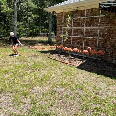 Outdoor Garden Pink Flamingos ~ Set Of Ten (10)