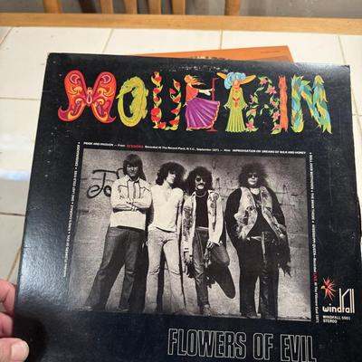 Vintage Vinyl Lot of 10 #193