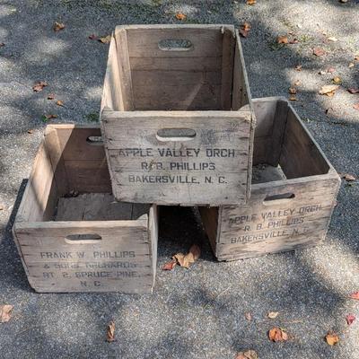 Apple Orchard Boxes